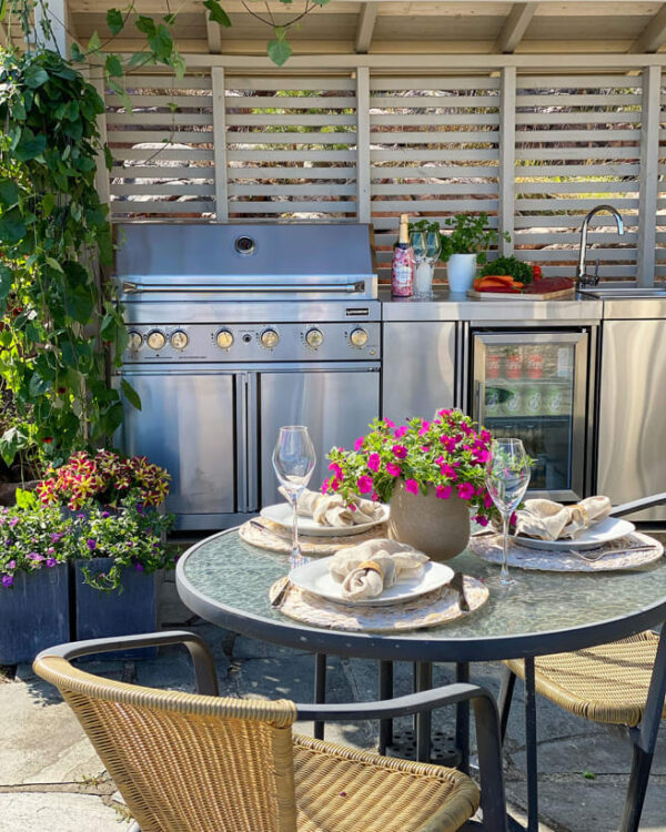 Profesionalni plinski žar