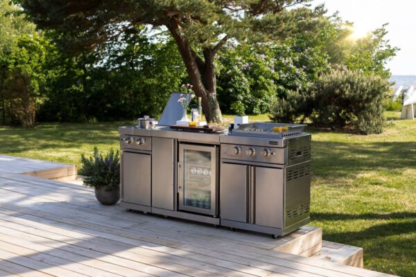 Teppanyaki modul za profesionalno uporabo