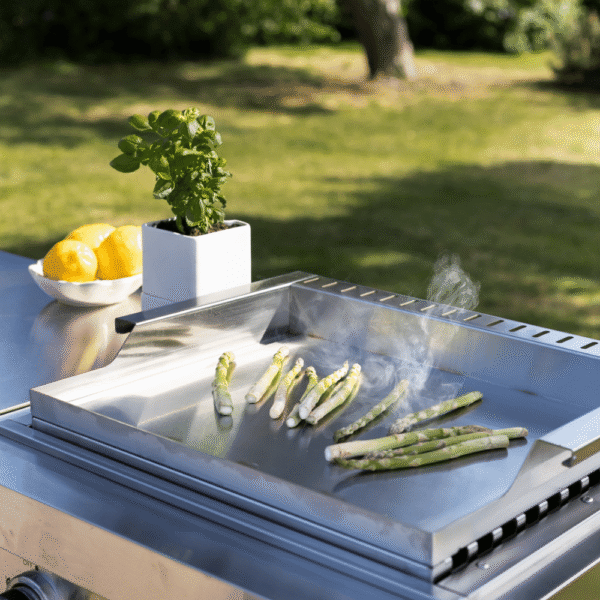 Teppanyaki modul za vrtno kuhinjo